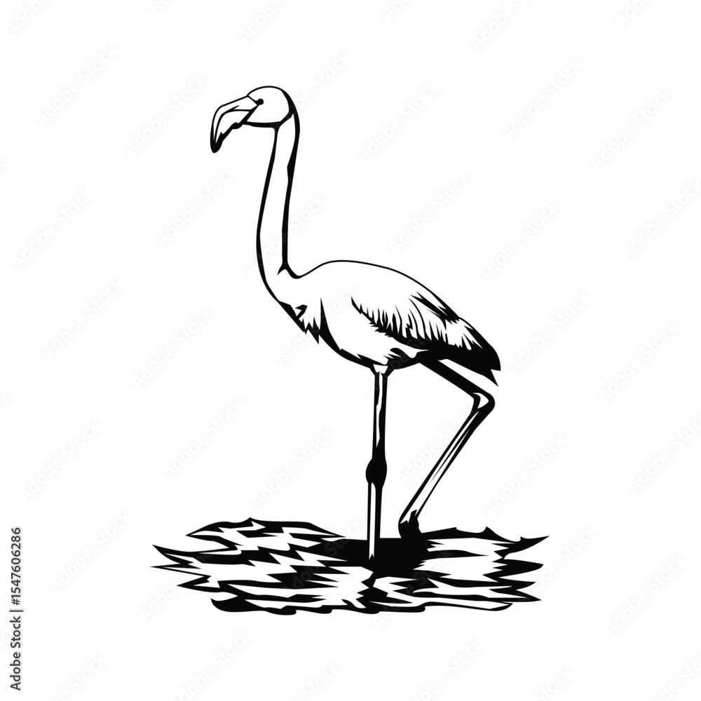 Fototapeta premium Greater flamingo design template