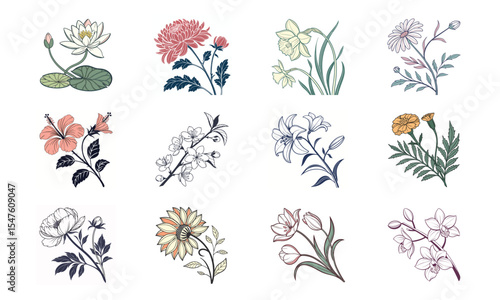 Collection of beautiful floral botanical elements featuring lotus hibiscus chrysanthemum daffodil daisy jasmine lily marigold peony sunflower tulip orchid 12 flower bundles
