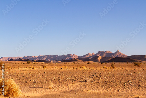 Dry flat stony desert called hamada at golden hour. Hamada desert near the town of Ouarzazate, Morocco