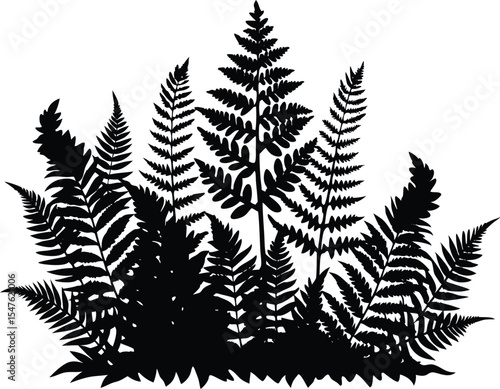 Forest Ferns and Moss Silhouette Design, Fern and Moss Ground Texture
