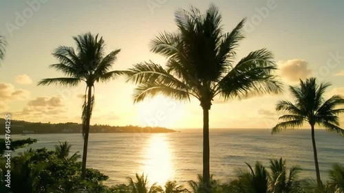 Wallpaper Mural Golden Sunset Over Tropical Coastline Torontodigital.ca