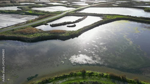 Wallpaper Mural Bright sun reflecting in the water of the salt marshes, Guerande, France, 4k Torontodigital.ca