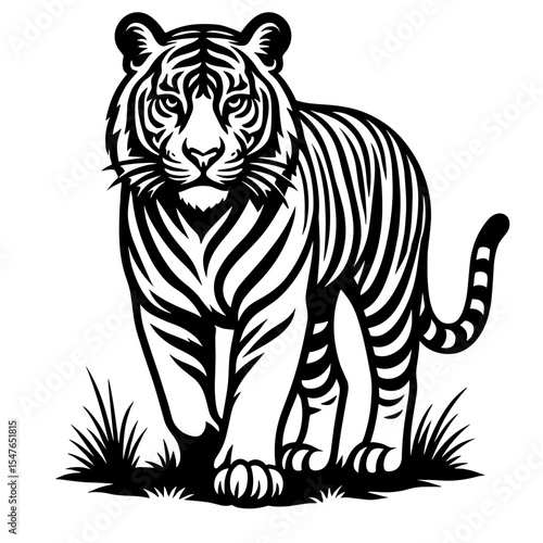 Realistic Standing Tiger in Black and White Vector Style with Bold Stripes and Confident Stance
