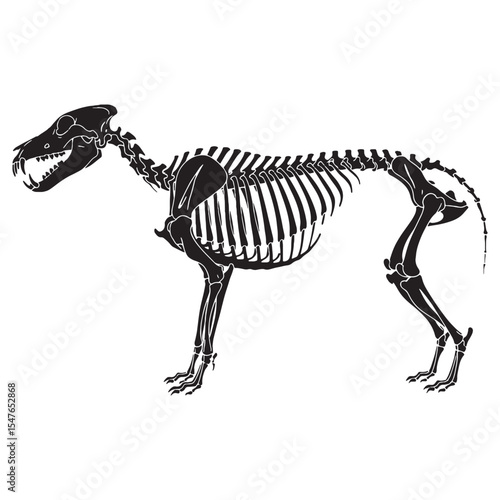 Legacy of the pack hunter – Dire wolf skeleton silhouette presented in stylized Dire wolf skeleton vector – Dire wolf skeleton illustration


