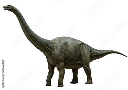 Fototapeta Naklejka Na Ścianę i Meble -  A sauropod dinosaur stands against a black background It has a long neck small head and four legs