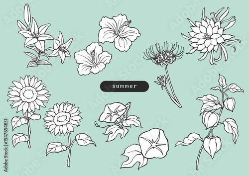夏の花のシンプルモノクロイラスト