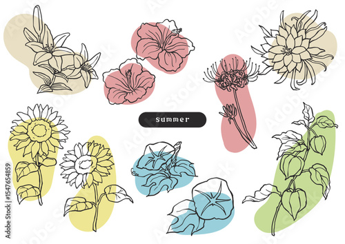 夏の花のシンプルラフなイラスト