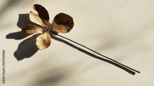 Elegant Single Golden Leaf on Simple Beige Background with Shadows