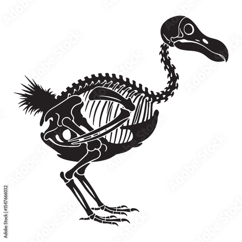 Delicate remains, artistic form – Dodo skeleton silhouette paired with elegant Dodo skeleton vector – Dodo skeleton illustration

