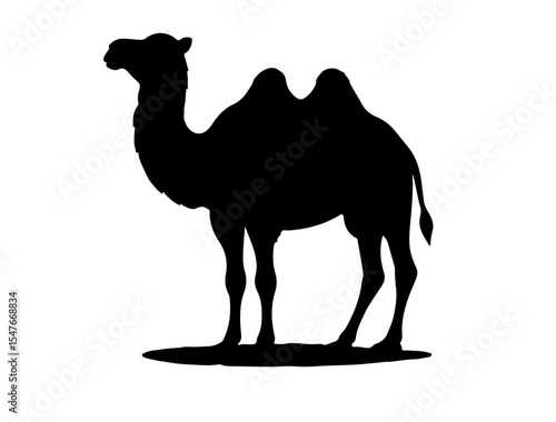 Camel in desert silhouette image in vector.