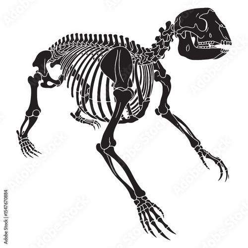 Echoes of prehistoric forests – Giant sloth skeleton silhouette crafted through elegant Giant sloth skeleton vector – Giant sloth skeleton illustration

