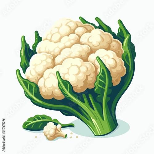 Detailed, vibrant illustration of a head of cauliflower with its leaves.  It is set against a plain white background.