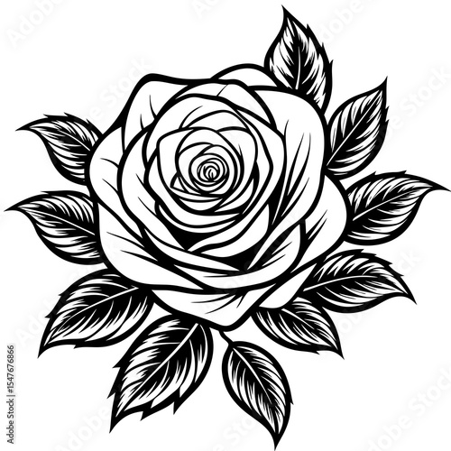 Black and white rose with leaves isolated on white background