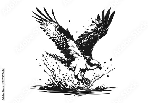 Osprey Bird hand drawn sketch vector illustration