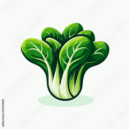 Vibrant, stylized illustration of a bok choy plant. The image features a detailed portrayal of its green leaves against a white background,  making a nice display of a leafy vegetable.