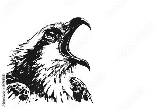 Photos Osprey Bird hand drawn sketch vector illustration