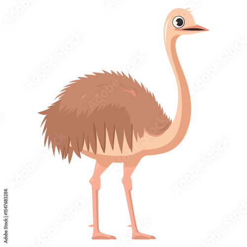 Vector illustration of Ostrich ostrich cartoon animal vector
