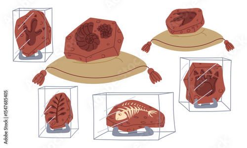 set of fossils, bones, dinosaur footprints, shells on a pillow and on stands under glass. An archaeological find. Flat color illustration. scientific projects, encyclopedias, museum exhibitions