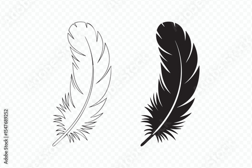 vector illustration of black and white feathers isolated on white background