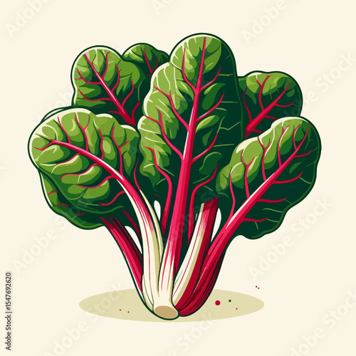 Detailed graphic illustration of a bunch of vibrant red and green beet greens. The image emphasizes the structure and color of the leaves and stems.