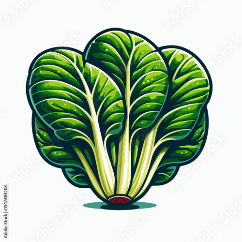 Stylized illustration of bok choy, showcasing detailed, vibrant green leaves on a white background.
