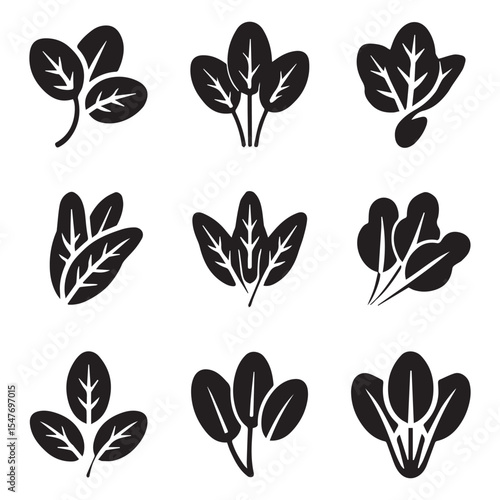 Spinach Icon Set for Salad. Black and White Spinach Leaf Icons Set for Food Design
