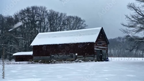 Snowstorm Blowing Through Old Barn in Winter Field. An old barn stands in a snowy field as a snowstorm hits. Wind sweeps snow in all directions, creating a cold, dramatic winter scene