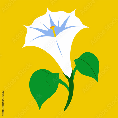 datura vector, illustration
