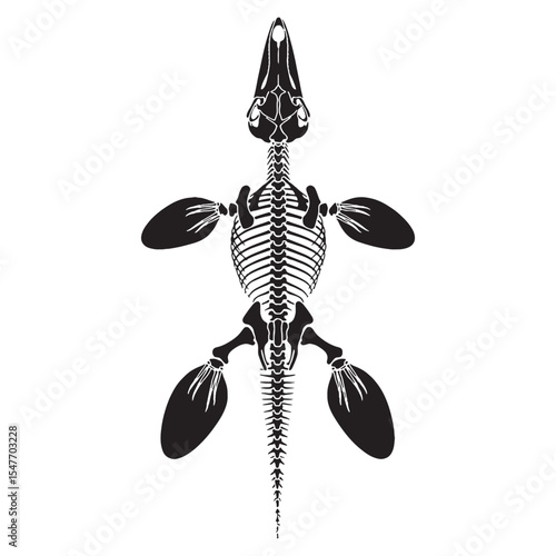 Paleontological elegance under water – Mosasaur skeleton silhouette paired with soft-lined Mosasaur skeleton vector – Mosasaur skeleton illustration

