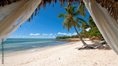Tropical beach scene viewed through white curtains of a beach hut palm trees white sand turquoise water blue sky