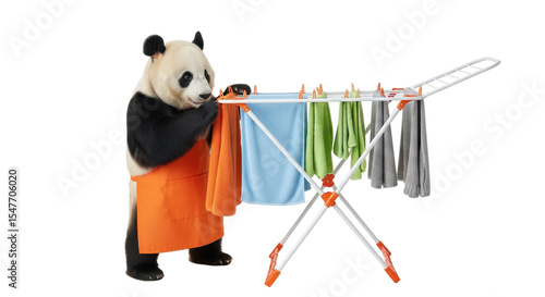 Schilderij op canvas Isolated Panda Doing Laundry