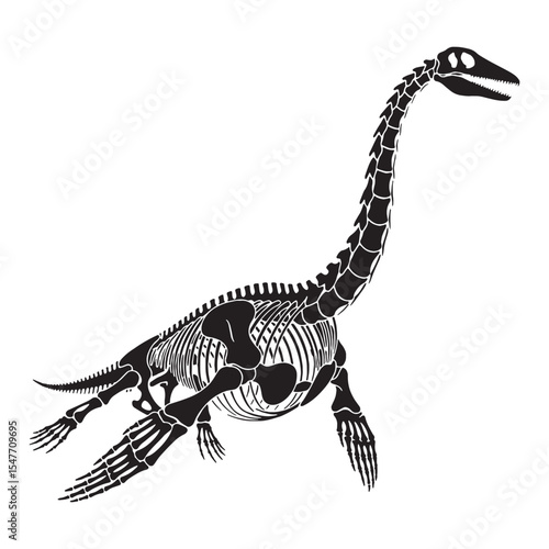 Lines from the ancient ocean – Plesiosaurus skeleton silhouette and clean Plesiosaurus skeleton vector – Plesiosaurus skeleton illustration

