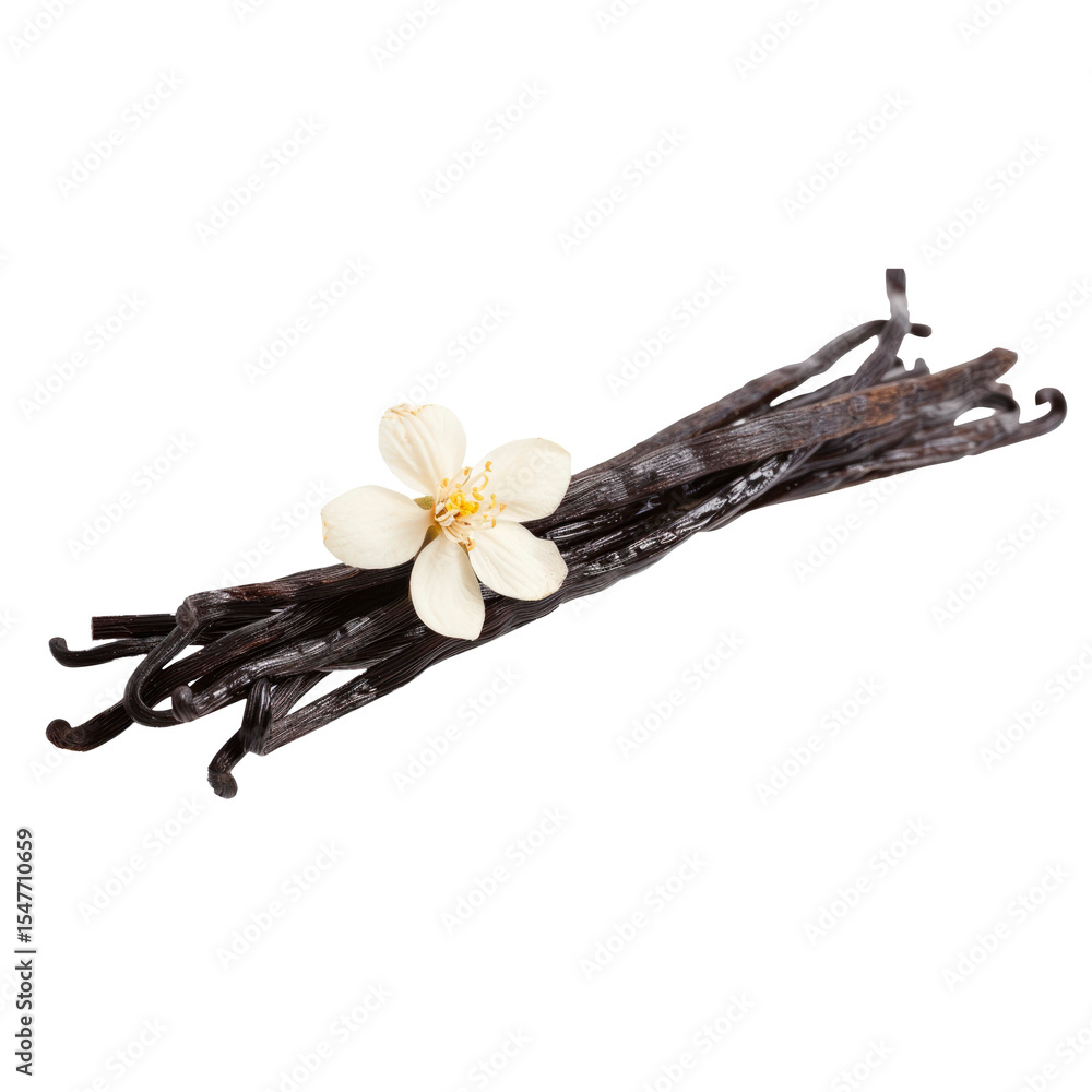 Dried vanilla sticks and vanilla orchid on white Dried vanilla sticks and vanilla orchid on white