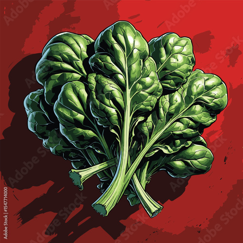 spinach vector image for graphic