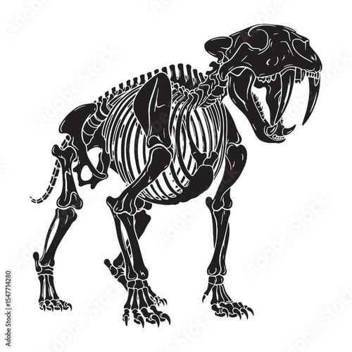 black saber-toothed tiger skeleton on white clip art preview