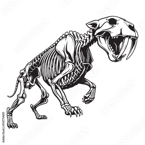 Grace and ferocity preserved – Smilodon skeleton silhouette in stylized Smilodon skeleton vector – Smilodon skeleton illustration

