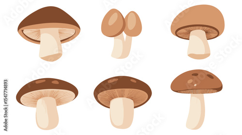 Simple brown mushroom icon with clean flat design on white background, representing edible fungi, nature, organic food, and natural ingredients, ideal for use in culinary, health, nutrition