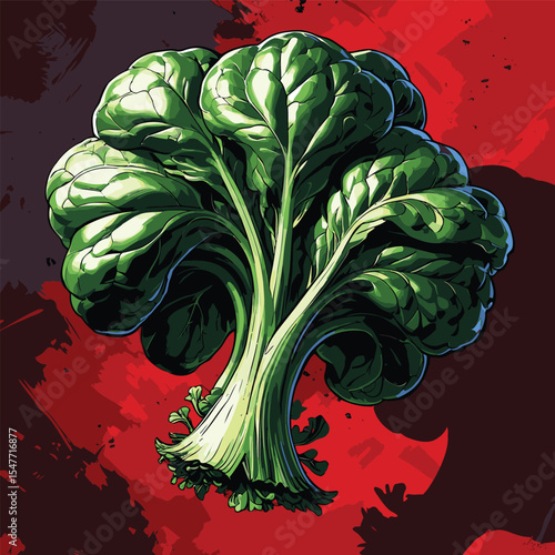 spinach vector image for graphic
