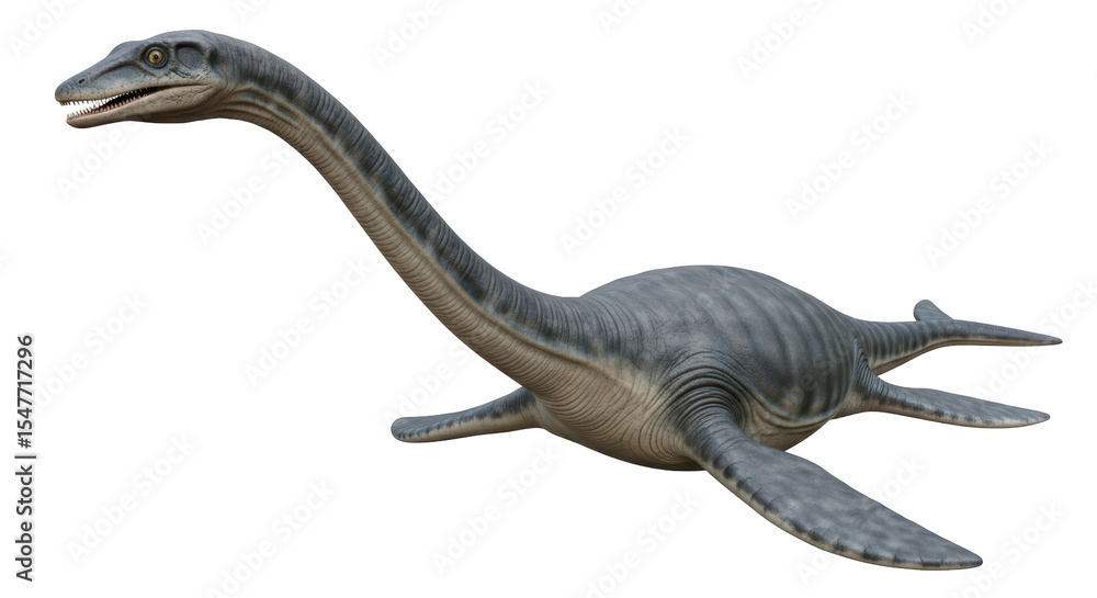 Obraz premium Isolated Plesiosaur