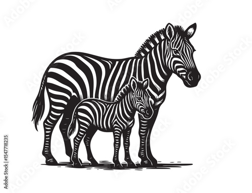 Mother zebra and baby foal standing side by side in a bold striped vector artwork. Strong family theme and wildlife presence.