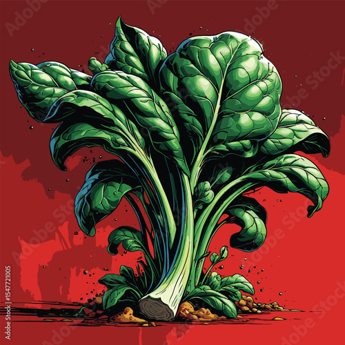 spinach vector image for graphic