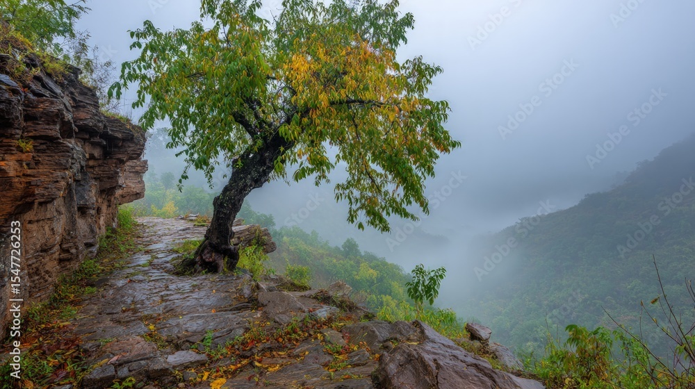 Solitary Tree on a Misty Mountain Cliff Solitary Tree on a Misty Mountain Cliff