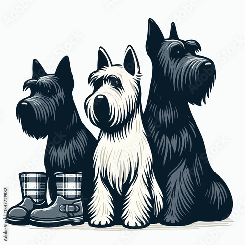 Graphic illustration of three scottish terriears wearing tartan boots, presented in a simple style.