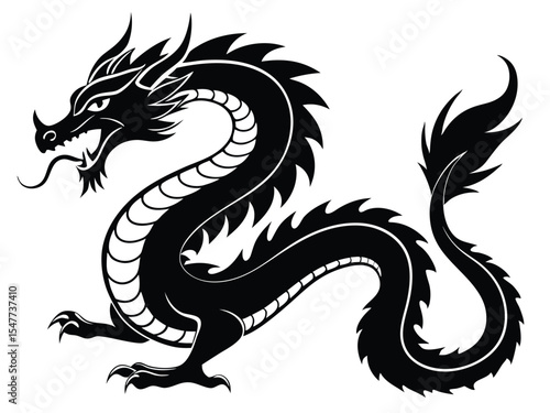 black and white dragon