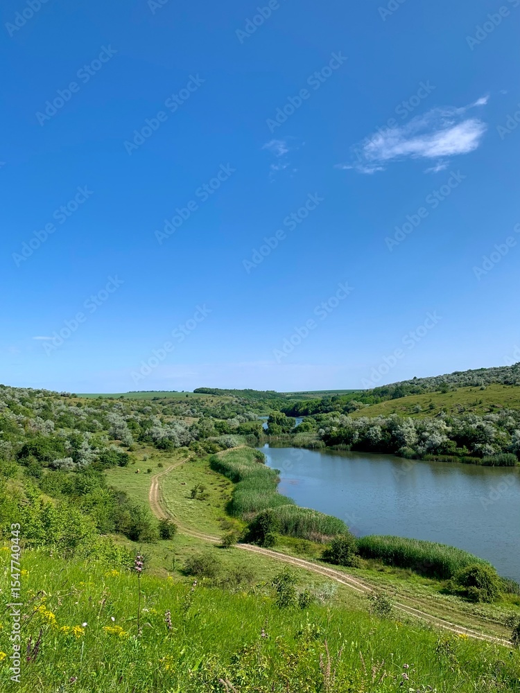 Fototapeta premium Summer river landscape with green hills, blooming trees and blue sky. Serene countryside view with wild nature and calm water in the foreground.