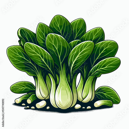 Colorful,  stylized  illustration  of  a  group  of  bok choy  plants  with  intricate  leaf  details.  The  image  is  set  against  a  plain  white  background.