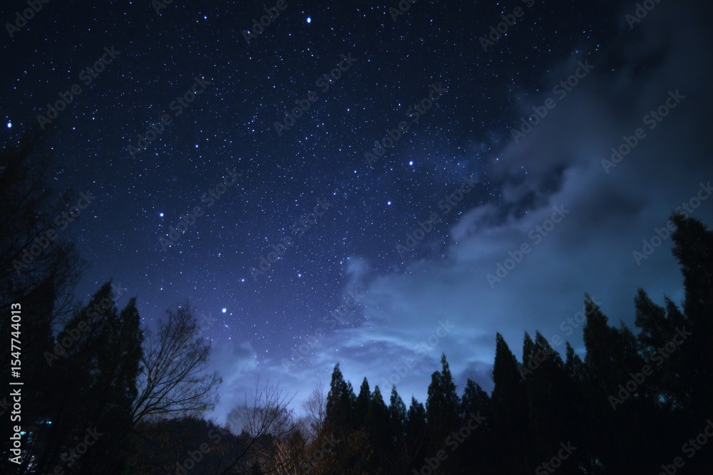Fototapeta premium Silhouetted Trees Against a Starry Night Sky