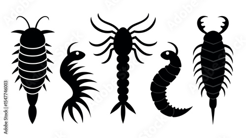 centipedes, millipedes, and worms vector illustration in various poses and sizes. Perfect for nature, wildlife, and garden themes. Great for graphic design, art, abstract,