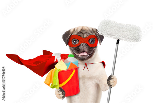Cleaning concept. Funny Pug puppy wearing superhero costume holds  the mop and bucket with washing fluids. Isolated on white background