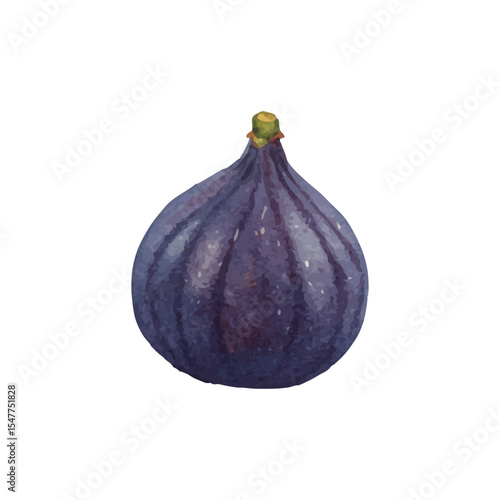 vector watercolor figs /水彩テイストのいちじくイラスト